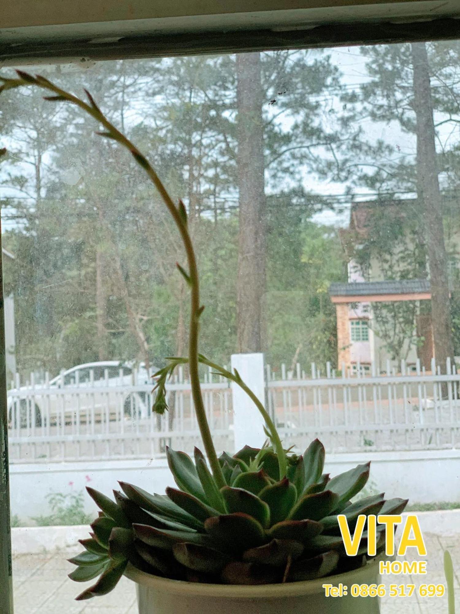 Vita Homestay Mang Den Kon Von Kla Kültér fotó